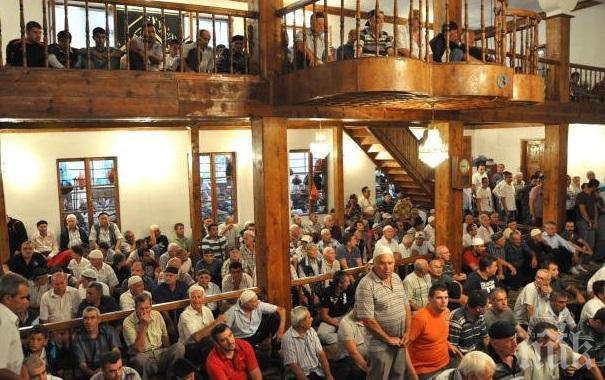 30 телета отиват курбан за Байрама в Хасково