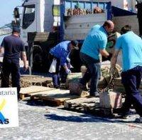 РЕКОРД! Заковаха българин с 15 тона хашиш в Испания