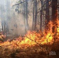 Огнен ад! Пожар бушува край Криводол, заплашва и града (СНИМКИ)
