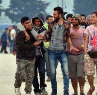 Ирландците проявяват най-голямо съчувствие към сирийските бежанци в ЕС