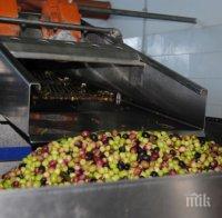 Трагедия! Българин умря в резервоар за маслини в Гърция

