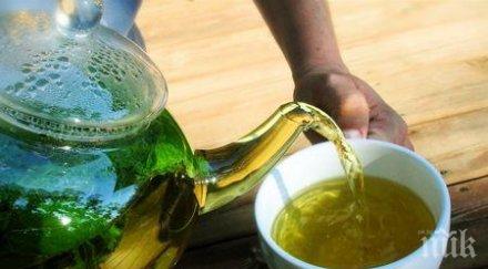 билкова отвара пазар красно село натрови жена прокуратурата рови атропин озовал чая залист миши трън див чемшир