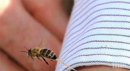 насекомо вкара млад мъж реанимация