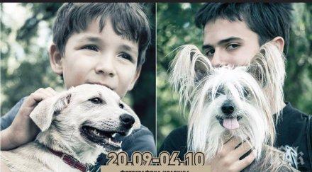 фотоизложба приятели показва любовта стопаните техните кучета