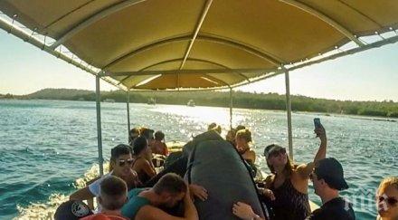 взривиха туристическа лодка бали загина чужденка