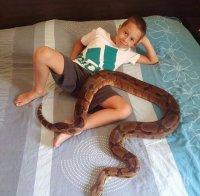 Емилия изкара акъла на феновете си: Позволи на сина й Иван да се гушка със змия (СНИМКА)