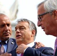 Доналд Туск от Братислава: България ще получи голяма подкрепа  от Европейския съюз 