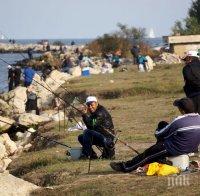 Морето завря от риба