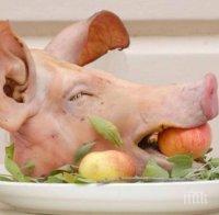 УНИКУМ! НАП продава на търг 18 тона замразени свински глави