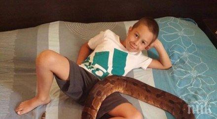 емилия изкара акъла феновете позволи сина иван гушка змия снимка