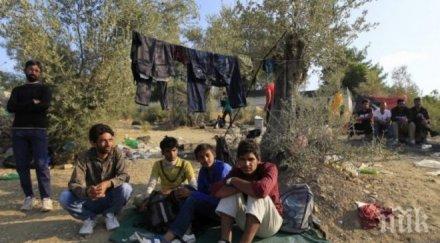 германия предложи бежанците образование условие върнат родината