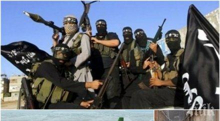 ислямска държава хвали свалила сирийски военен самолет