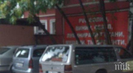 филм ужасите варна воня мъртъвци стряска хората центъра града