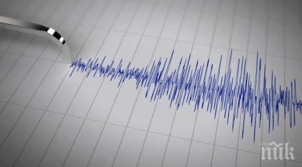 рихтер разлюля симитли