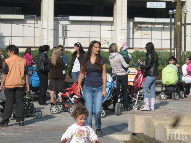 ХИТ! Бейби бумът в селото на щъркелите продължава