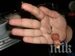 Археолози откриха най-старите в света рибарски кукички в пещера на остров Окинава