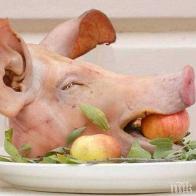 УНИКУМ! НАП продава на търг 18 тона замразени свински глави