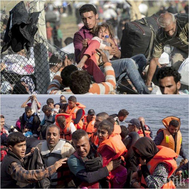 Турските власти са попречили на 137 мигранти да стигнат до гръцките острови