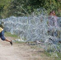 ЗАЩИТА! Унгарските затворници работят на три смени, за да правят телена ограда срещу мигрантите