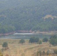 Мистерия в Старосел! Къде изчезна дядо Кузман?