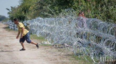 защита унгарските затворници работят три смени правят телена ограда мигрантите