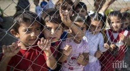 бежанците правят германците бедни сочи проучване