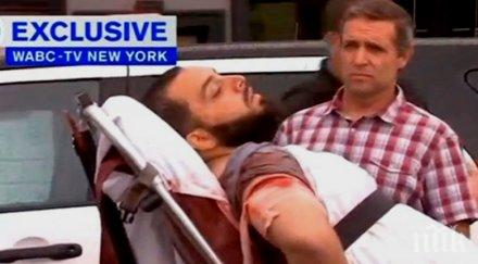 официално белия дом атаката йорк терористичен акт