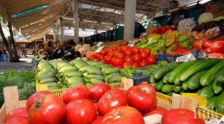 пик производители оплакват ниската изкупна цена чушките