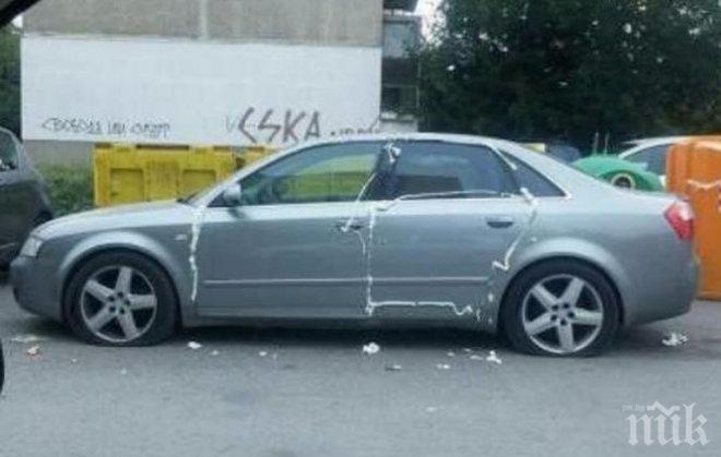 БРУТАЛНО ОТМЪЩЕНИЕ! Зли врагове съсипаха Ауди, собственикът не повярва на очите си, когато видя това (СНИМКИ)