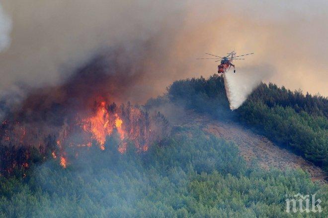 Безредици между мигранти предизвикали огнения ад на Лесбос