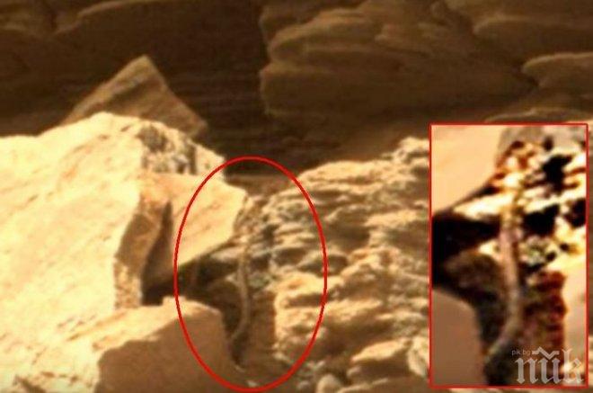 СЕНЗАЦИЯ! Откриха гигантска змия на Марс (ВИДЕО)