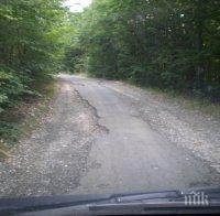 Оставят затворен Върбишки проход