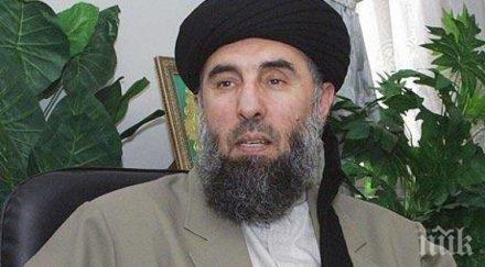 афганистан помилва касапина кабул