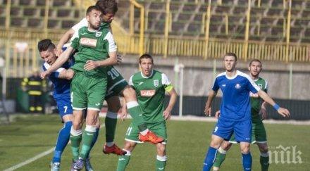 съставите пирин монтана