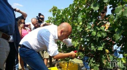 танева открива гроздоберната кампания село устина