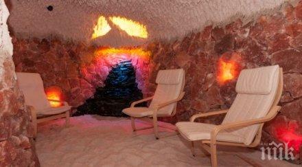 халокамера полезна организма