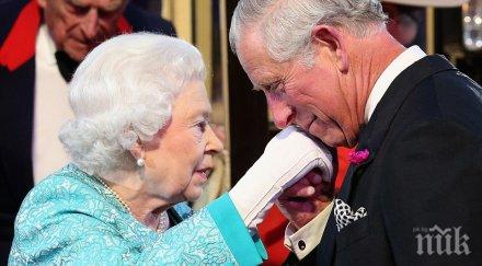 скотлан ярд арестува хакера откраднал снимки кралското семейство