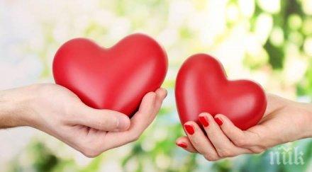 намерите любовта зодията