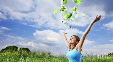 нощна птица какъв характерът жената времето активна