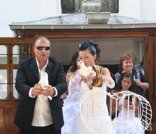 ВНИМАВАЙТЕ! Весо Лудия бръмчи в Люлин - по номера ще го познаете (СНИМКИ)