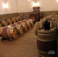 Първият частен винзавод в Пиринско фалира, продават го на търг