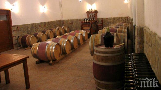 Първият частен винзавод в Пиринско фалира, продават го на търг