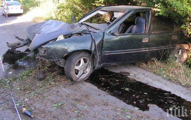 Касапница! Шофьор загина на място след зверски удар в дърво край Добрич