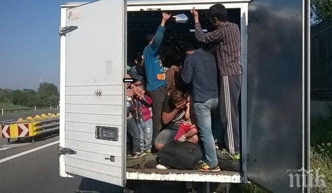 Над 10 хил. нелегални имигранти задържаха в Сърбия