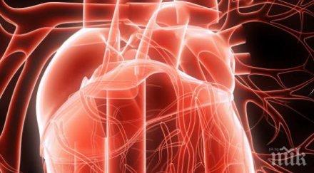 отбелязваме световния ден сърцето