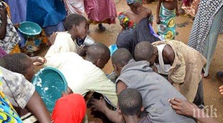 тотален мор десетки хиляди умират глад заради боко харам