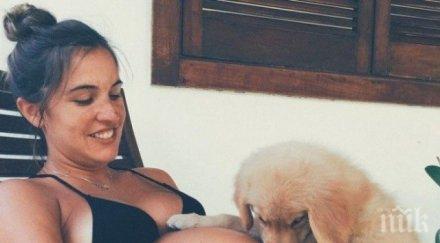 невероятни снимки показват кучета очакват новите попълнения семейството