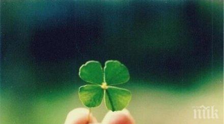 късметлиите годината небивал късмет очаква четири зодии