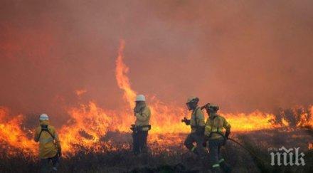 ужас бачково гори ресторант хотел евакуират хората