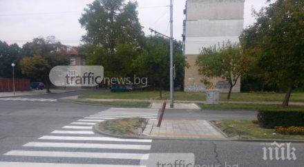 висшият адвокатски съвет пешеходецът абсолютното право зебра